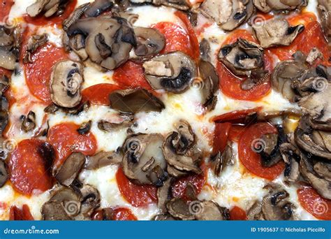 pepperoni  mushroom pizza stock image image  sauce crust