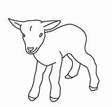 Goat Coloring Pages Cute Kids Baby Outline Animals Template Sketch Drawing Printable Drawings Print Sheets Farm Easy Colouring sketch template
