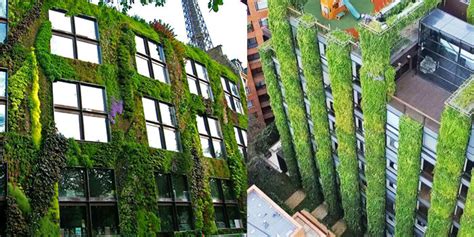 Jardines Verticales En Las Ciudades Ecológicas Energía Y Medio Ambiente
