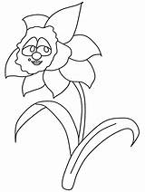 Coloring Pages Narcissus Orchid Iris sketch template