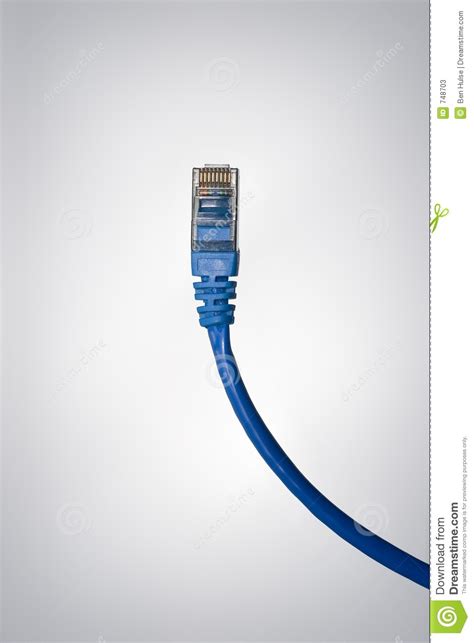 blue ethernet cable stock image image  information white