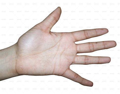 scientific paper stating  human hand  designed   creator sparks controversy matzavcom