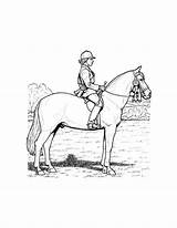 Cavalo Montado Colorir Qdb sketch template