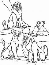 Lion King Coloring Pages Kiara Getdrawings sketch template