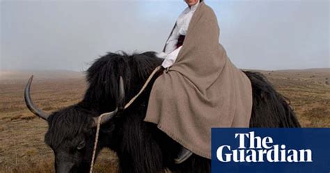 yak wool the new cashmere fashion the guardian
