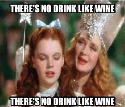 wine meme 20 funny memes if you love wine and need a drink