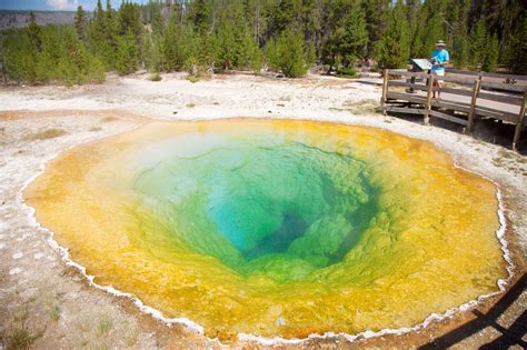 File Morning Glory Pool Yellowstone National Park  Wikipedia