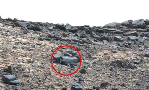 has an alien truck been spotted on mars metro news