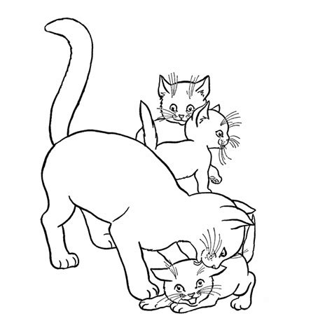 cute kitten coloring pages coloring pages