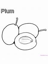 Plum Coloring Fruit Pages Sheet Plums Color Choose Board Colouring sketch template