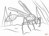 Wasp Coloring Mud Pages Hornet Dauber Drawing Printable Hornets Charlotte Cartoon Supercoloring Color Getdrawings Getcolorings Colorings Crafts Insects Categories sketch template