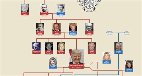donald trump family tree  trump family  immigrant story history copyright disclaimer