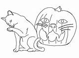Coloring Cat Pages Halloween Cats Printable Drawing Color Face Big Print Scary Jack Pumpkin Lantern Drawings Funny Kids Paper Getcolorings sketch template