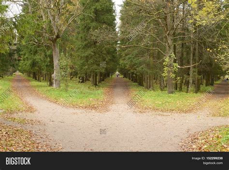 paths woods lead image photo  trial bigstock