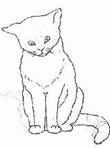 Poes Kleurplaten Poezen Katze Katten Katzen Ausdrucken Ausmalbilder Ausmalbild Malvorlage Simpele Printen Stappen sketch template