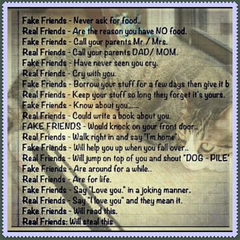 Fake Friends Quotes Quotesgram