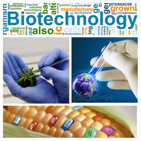 biotechnology   significances rabinsxp blog