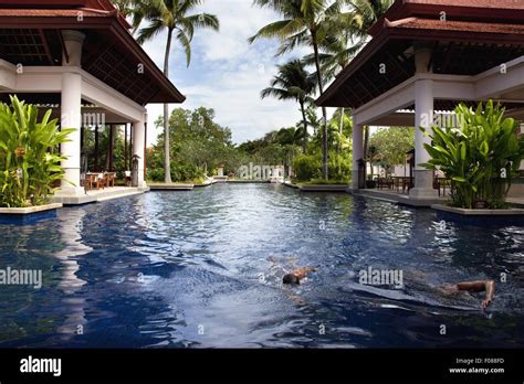 view  banyan tree villas pool palms located  luxury hotel  phuket
