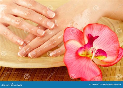 young woman hands  spa treatment stock image image  palm salon