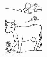 Coloring Cow Pages Farm Dairy Kids Cattle Activity Cows Sheet Colouring Milk Color Printable Animal Print Activities Farms Book Students sketch template