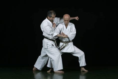 pin  almsufuden  wado ryu karate wado ryu karate karate sports