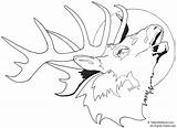 Elk Coloring Pages Head Drawing Deer Printable Moose Line Bull Easy Print Clip Drawings Adult Face Template Hunting Sketch Clipart sketch template