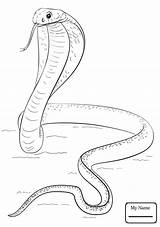 Rattlesnake Diamondback Coloring Reptiles Pages Eastern Getdrawings Drawing sketch template