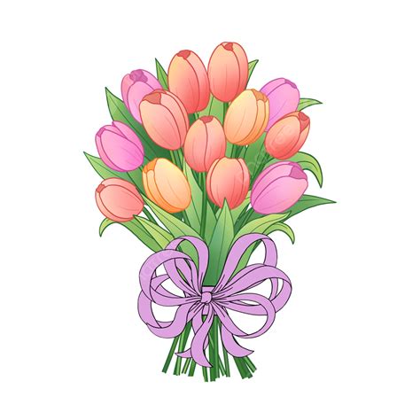 튤립 꽃 그림 손으로 그린 꽃 손으로 그린 만화 손으로 그린 꽃 튤립 편집 가능 png 일러스트 및 psd 이미지 무료