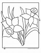 Coloring Daffodil Pages Flowers Spring Flower Printable Colouring Print Outline Kids Sheets Site Brats Use Dragon Crafts Easter Library Clipart sketch template