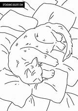 Cat Värityskuva Coloring Kissa Sleeping sketch template