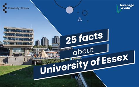 facts  university  essex leverage