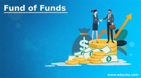 fund  funds    work advantages  disadvantages