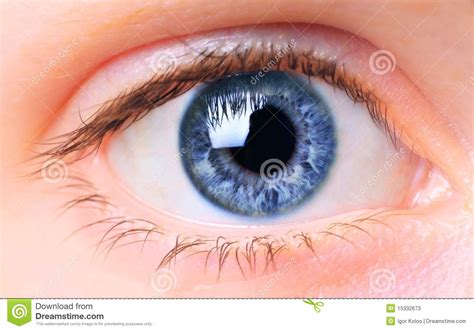 women eye stock image image of forward beauty white 15332673
