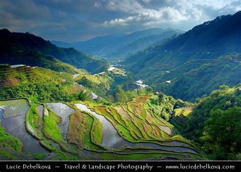 Philippines Luzon Island Ifugao Province Banaue Rice