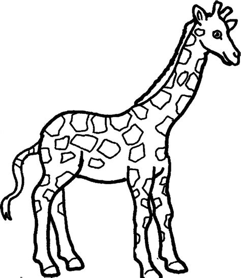 printable giraffe coloring pages coloringmecom