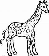 Giraffe Printable Outline Clipart sketch template