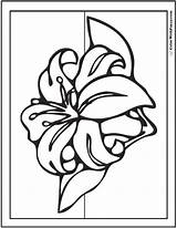 Lily Coloring Spring Stargazer Flowers Pages Drawing Printables Getdrawings Sheet Colorwithfuzzy Customizable Fun sketch template