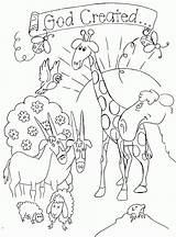 Bible Coloring Pages Choose Board Kids sketch template