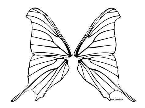 butterfly wings colouring pages