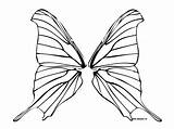 Wings Butterfly Fairy Outline Template Wing Pages Draw Butterflies Coloring Colouring Clipart Book Clip Sheets Designs Unicorn sketch template