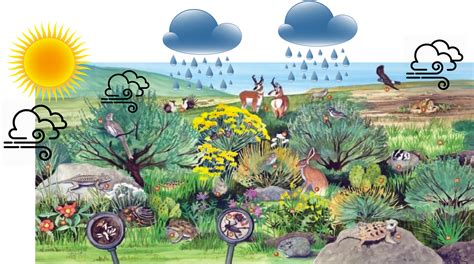 ecological systems thinking rangeland ecosystems   western