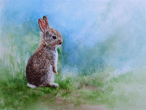 paintings  rabbits ve finished  watercolour