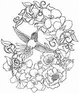 Coloring Pages Hummingbird Adults Flower Tattoo Adult Flowers Printable Metacharis Advanced Deviantart Hummingbirds Bird Print Drawing Color Birds Humming Detailed sketch template