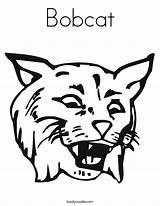 Coloring Bobcat Bob Wildcats Wildcat Worksheet Pages Logo Face Print Outline Noodle Drawing Yellow Template Cursive Twistynoodle Twisty Favorites Login sketch template