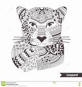 Leopard Coloring Book Pages Henna Adult Vector Illustration Line sketch template