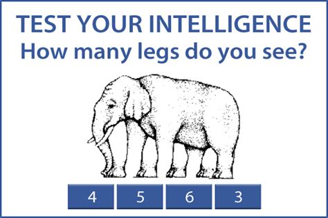 instrumentation  process control test  brains   legs