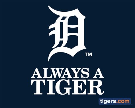 tigers  minor leagues provide fans   names  follow