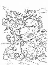 Coral Reef Fish Coloring Kids Fun Votes sketch template