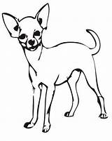 Chihuahua Coloring Pages Clipart Drawing Dog Da Line Cute Kids Printable Chiwawa Colorare Chihuahuas Clip Easy Colouring Adult Dogs Popular sketch template