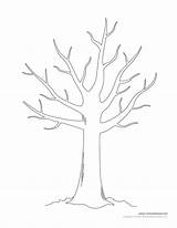 Tree Without Leaves Coloring Getcolorings Fall Printable Color sketch template
